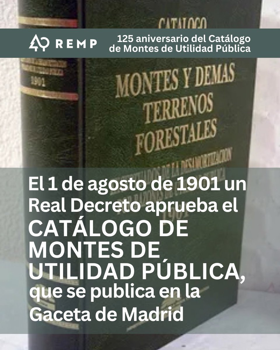 Red Estatal de Montes Públicos (REMP) tweet media
