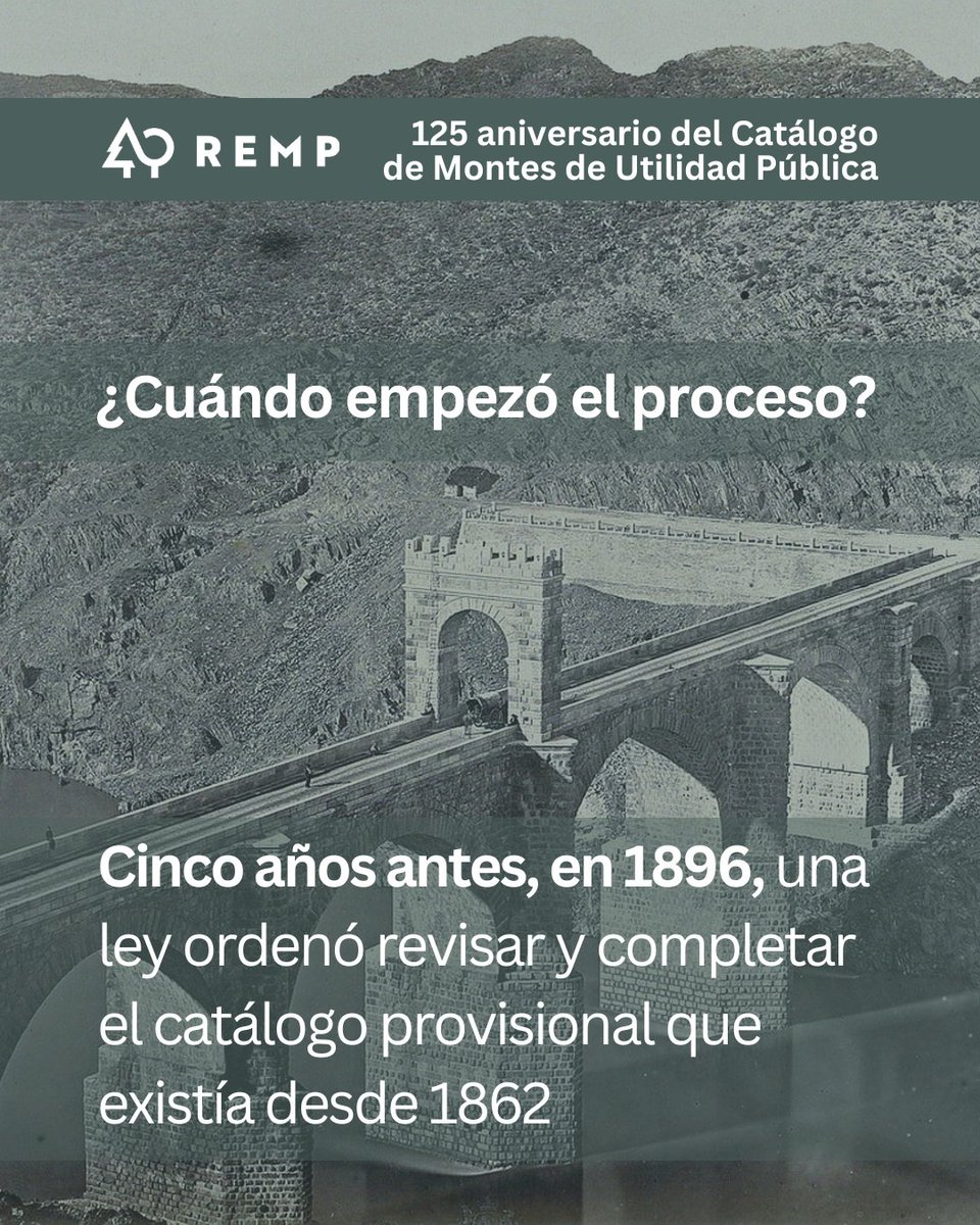 Red Estatal de Montes Públicos (REMP) tweet media