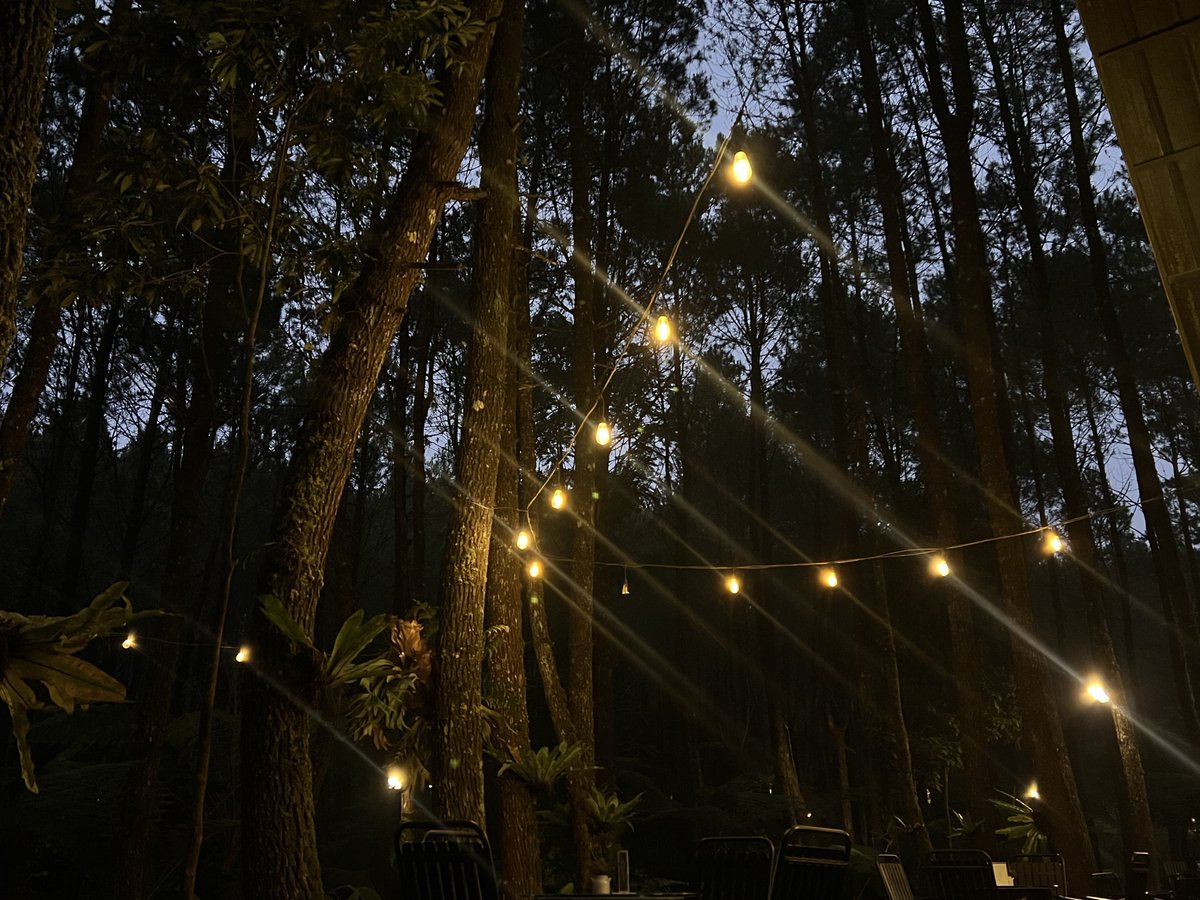 ostdyllic's tweet photo. 📍Tangkal Pinus
happy birthday ka ibet! https://t.co/VLiUKdEuIG