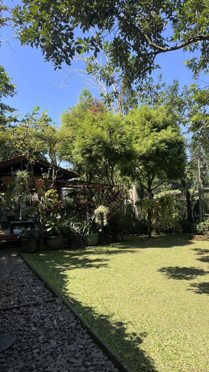 ostdyllic's tweet photo. 📍Kopi Eyang https://t.co/sLfq20HzBa