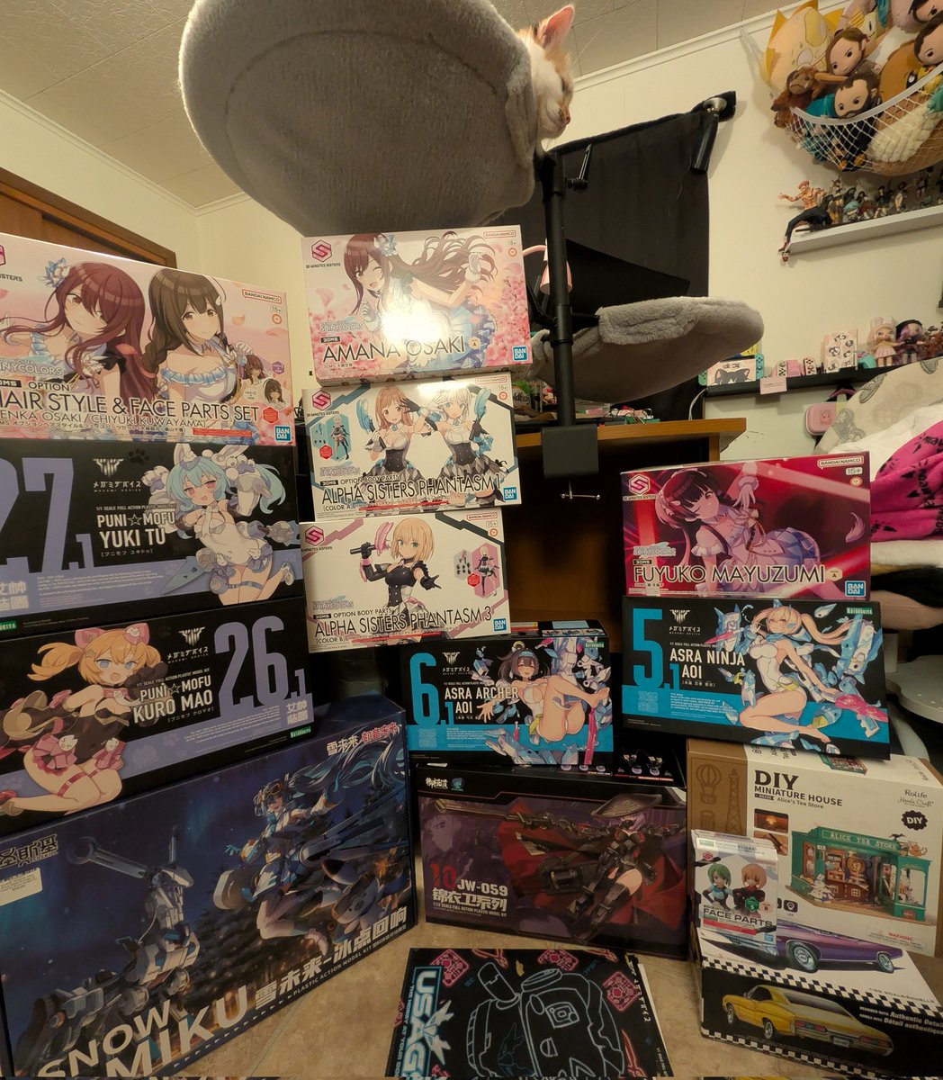 Lunanessence's tweet photo. I may have over purchased... at least I'll be busy for a while （´∇｀'')ゞ #Girlpla
 *I'ma need more shelf's...૮₍ ˃ ⤙ ˂ ₎ა * https://t.co/eYbaVgaJd5