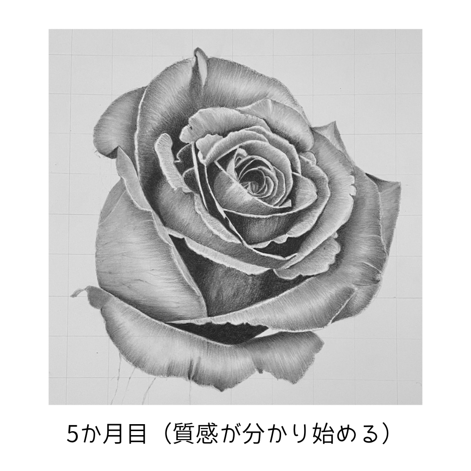 edamari4696's tweet photo. オンライン教室の受講生(山口県のTさん)の素晴らしい軌跡です✨

17年講師をする私も驚く上達スピード！

独学では気づけない『手の動かし方』を動画と添削で正しく学ぶから、最短でここまで変われます。

👇あなたの手で描く楽しさを体験しませんか？
https://t.co/D9jFQbP48k

#鉛筆画 #大人の習い事 https://t.co/ZemqMZd4Lv