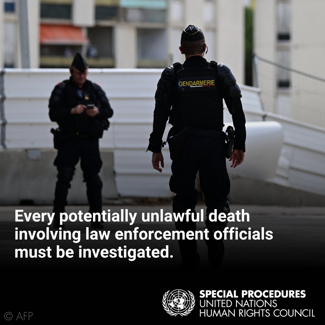 UN Special Procedures tweet media