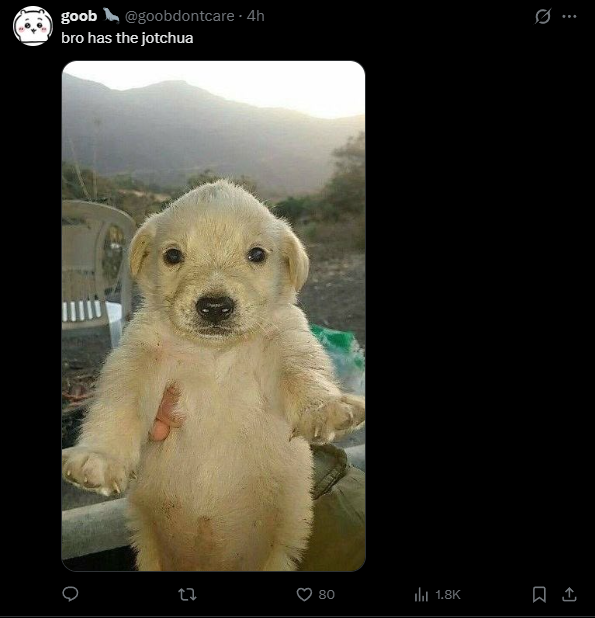 patchsol's tweet photo. we have a new dog meme going viral and the comments literally compare him to jotchua

they call him hashbrown https://t.co/ndJoP6xSfK