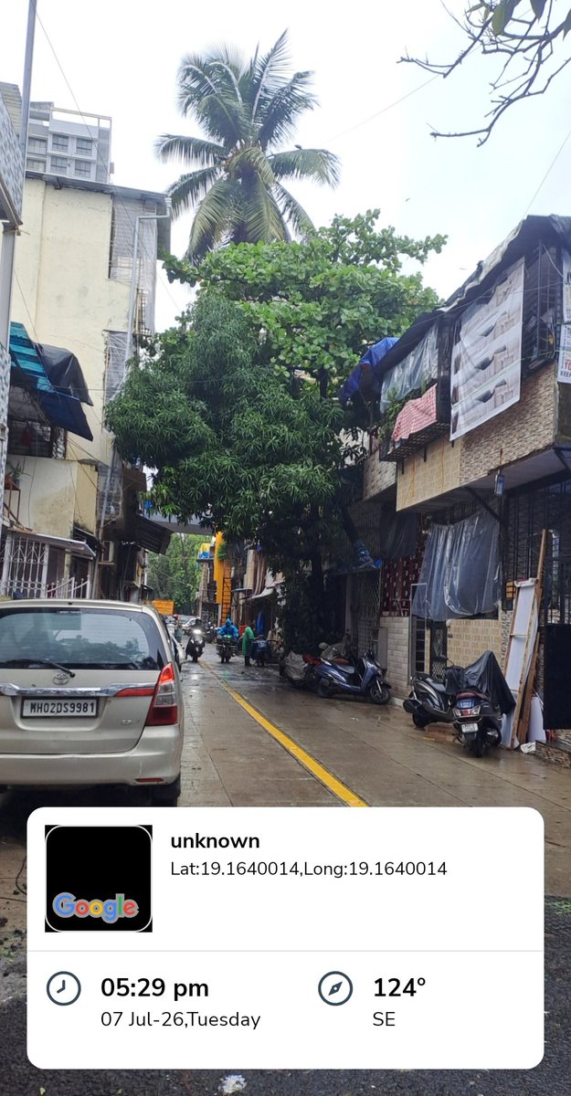 AgainstMumbai's tweet photo. @singhvarun @AshwiniBhide No one care for it, untill big incident take place only 6 months @mybmcWardPS garden department &amp; Asst. com Kulkarni ... @AshwiniBhide @TawdeRitu @MayorMumbai @mybmc 319-2541 Motilal Nagar 2 Goregaon west Mumbai,104 before it's too late take serious action https://t.co/pC8LlOWTd0
