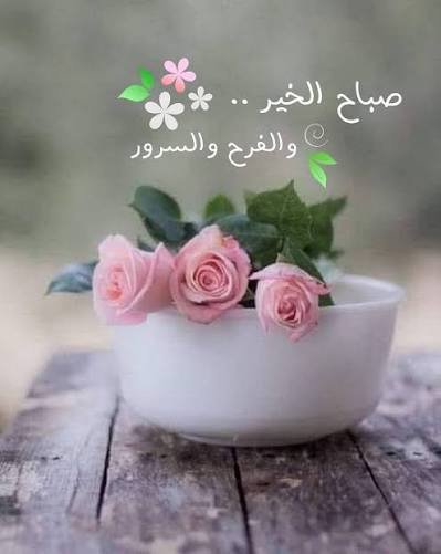 سعيد ساجد tweet media