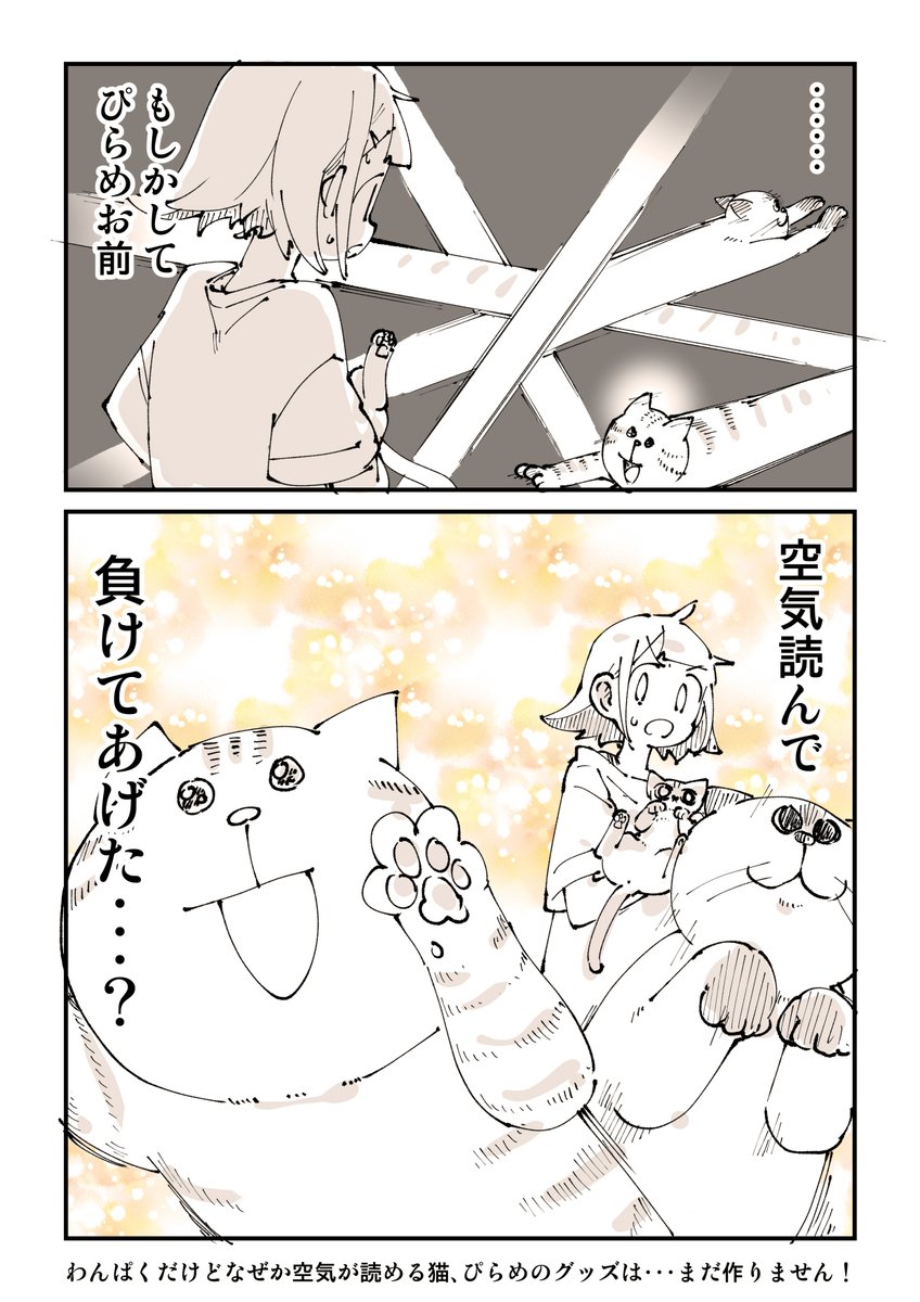 のんこさま専用ページ ぬこー様ちゃん@samachan (@nukosama) / Posts / X