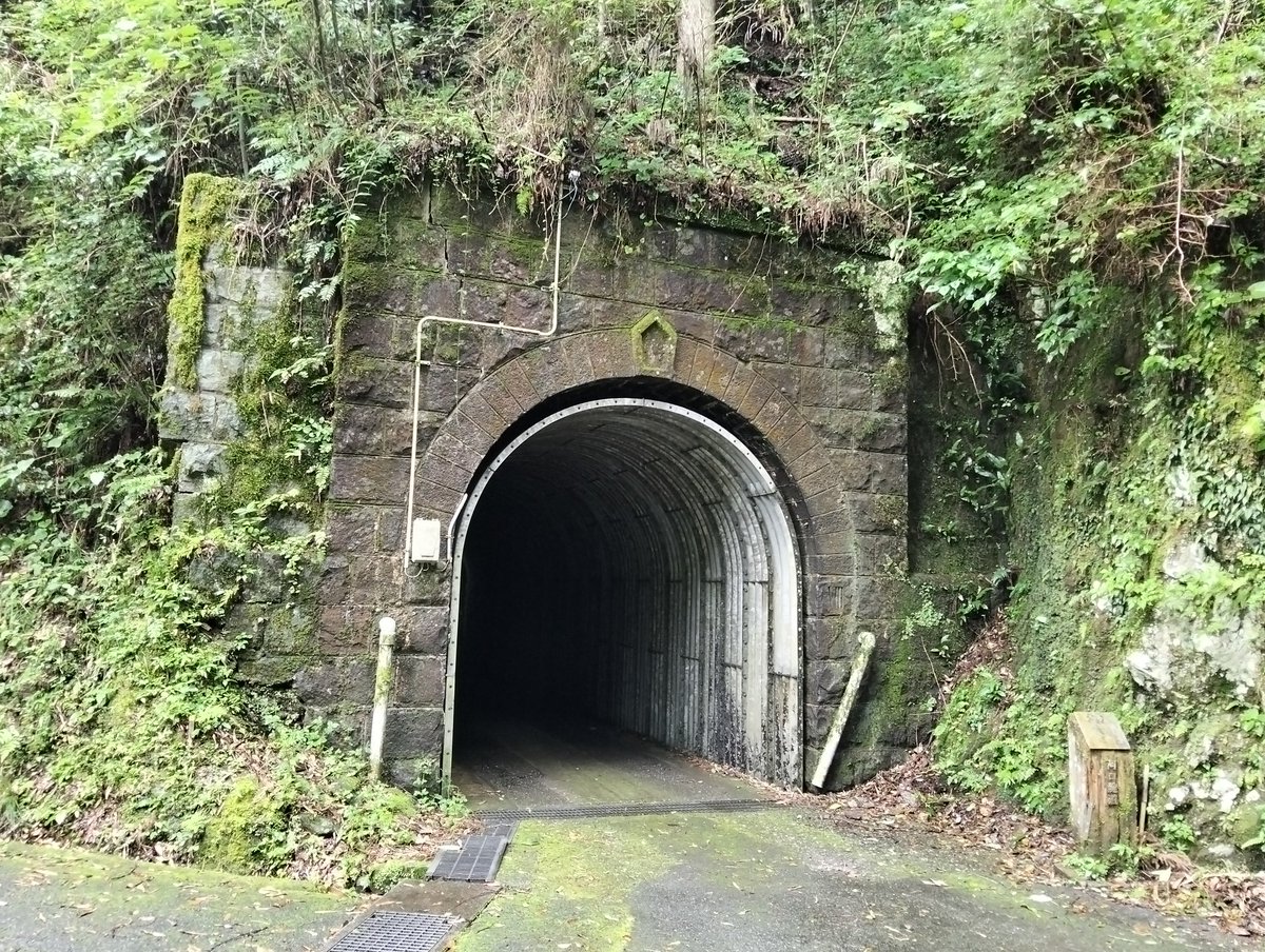 noto_UDON's tweet photo. 魚梁瀬森林鉄道の遺構巡り https://t.co/EPCcsFvFRx
