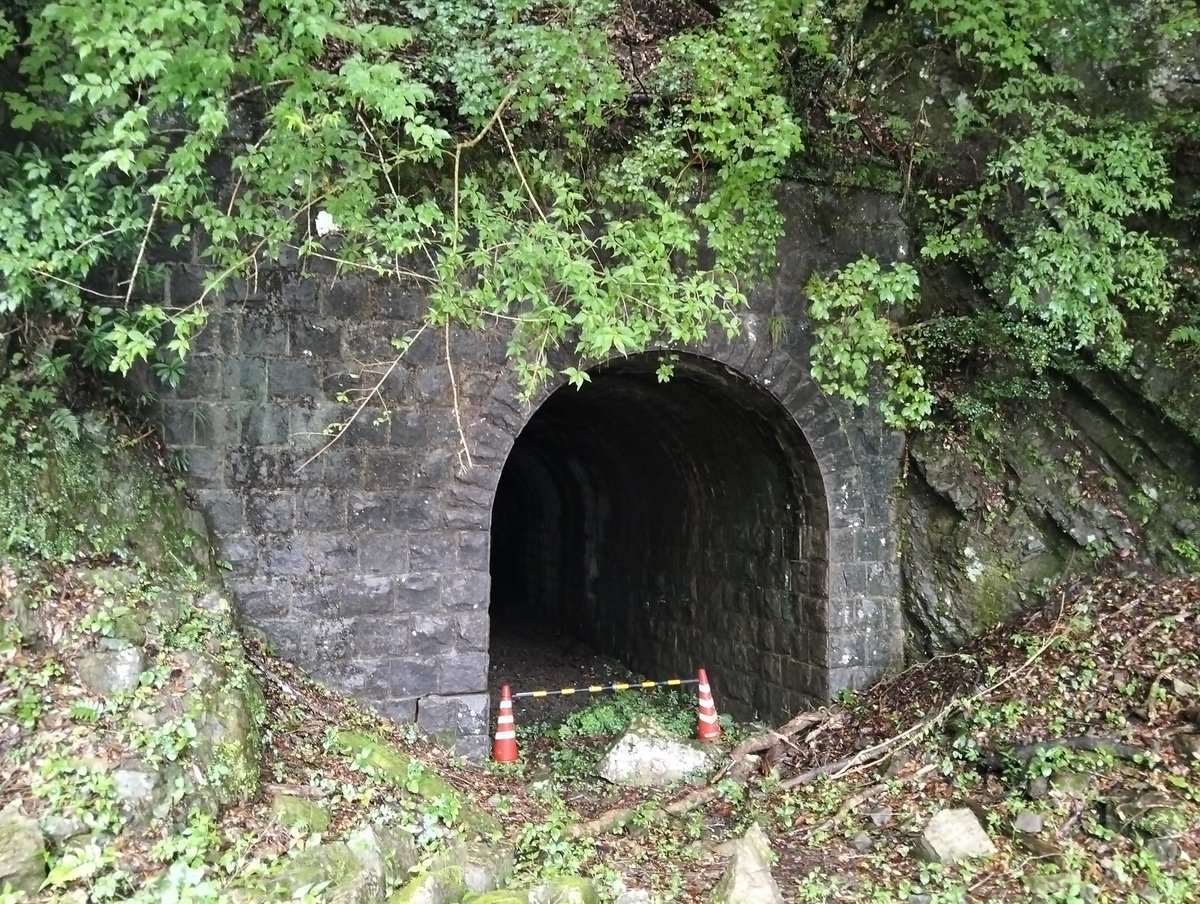 noto_UDON's tweet photo. 魚梁瀬森林鉄道の遺構巡り https://t.co/EPCcsFvFRx