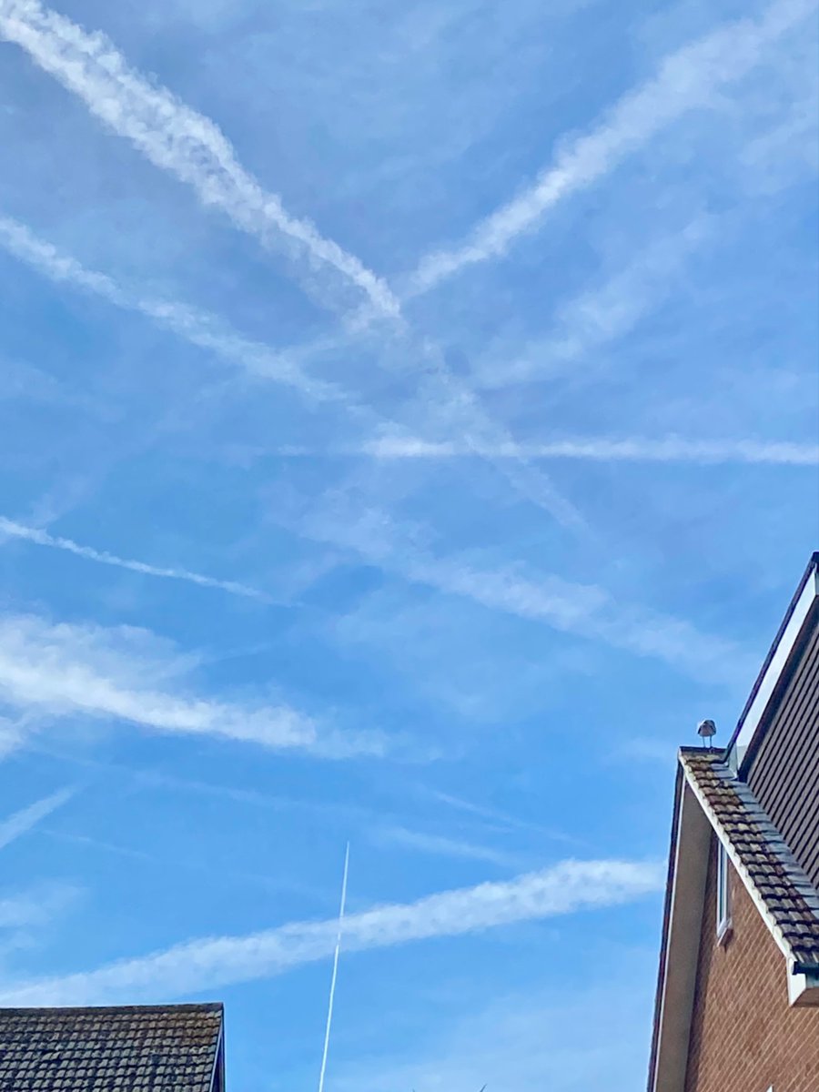 takeusout_lynda's tweet photo. Anyone else noticing the 1thing that draws trolls, bots or whatever else you want 2call them swarming like flies around 💩is when we mention chemtrails! Keep posting peeps we’re obviously touching a few nerves! And for those that were upset by my worst ever sky here it is again! https://t.co/wHCvUmkJr4