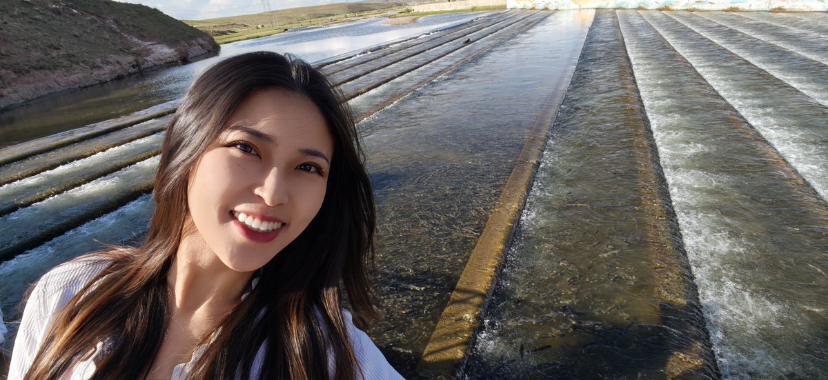CocoStudio4's tweet photo. Le Gymnocypris przewalskii, espèce endémique autrefois menacée, revit grâce aux mesures de protection prises au niveau local. Pour mon premier séjour dans la province du Qinghai, voir autant d'eau que de poissons dans cette rivière m'a marquée.
#Chine #Sanjiangyuan #qinghai https://t.co/DyduVr9g7y