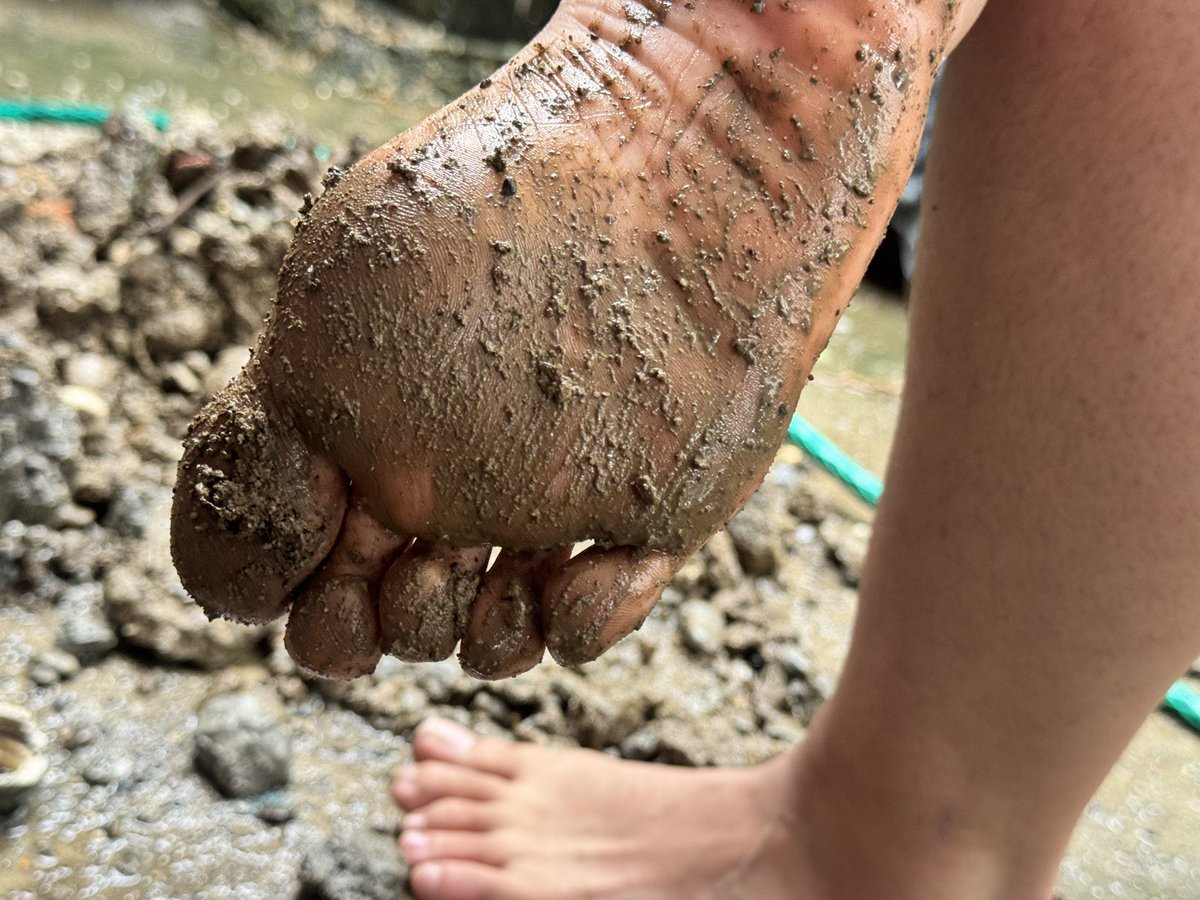 katiangel25's tweet photo. Delicious muddy feet🦶🏻🫦🥵 @rt_feet @thefootlover01 @Cumminforlara @user385u  @ebonypromo @footslavepig @Kevin20Sky @Feetcentral13 @ass_andfeet01 @rt_domm @CuriousFindomme @CamgirlFeet @dommes_rt @feetandsoles5 @DK_24680 @promo14399 @RtSlaveForDomme https://t.co/UCRaZFEDuB