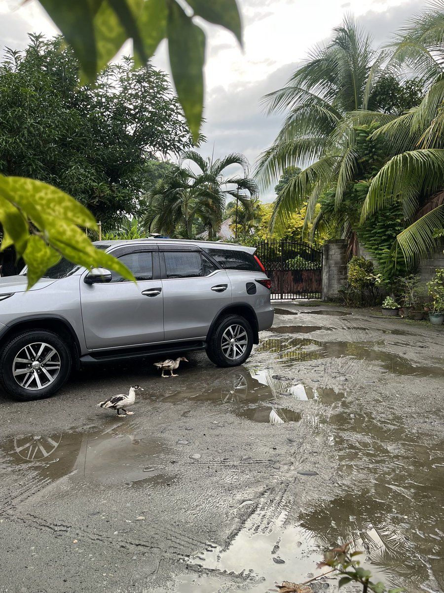mhaigusssh's tweet photo. Not to brag..

 I'm grateful I was able to give what my father's dream car. I know this is not enough but Alhamdulillah I made him happy. Shukran for this blessing, ya rabb. 😭🤍 https://t.co/ENqTeapKIl