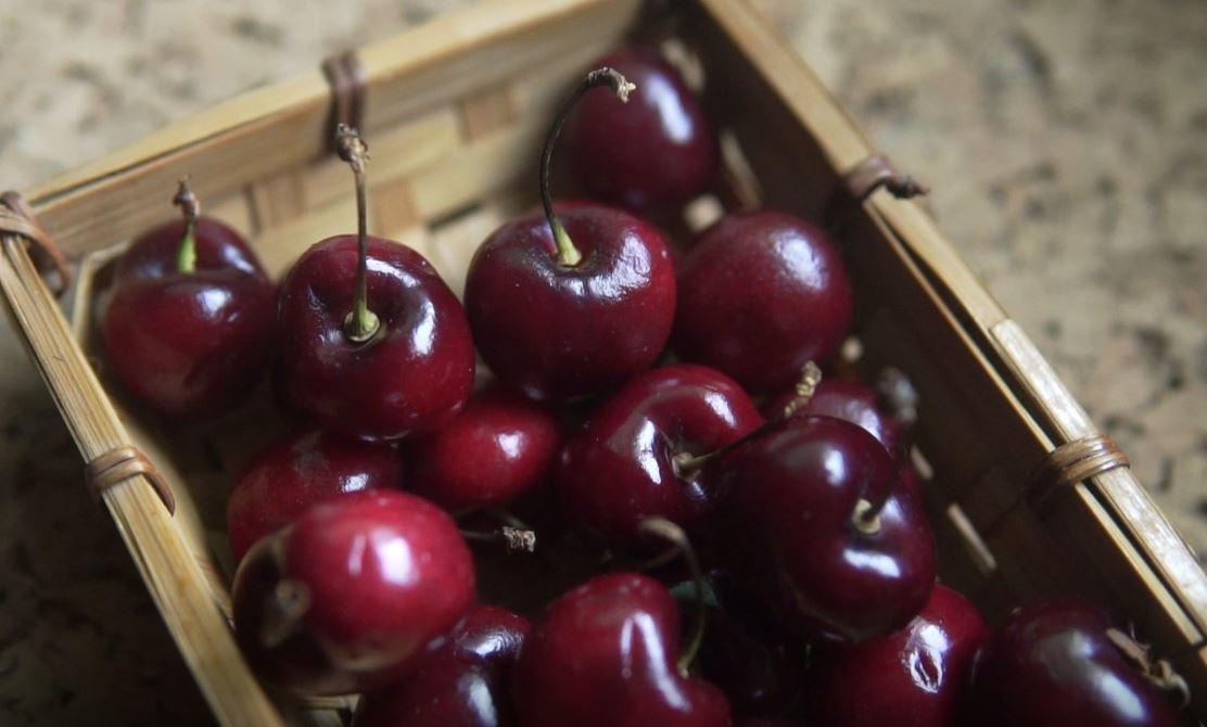 TerresdeMestral's tweet photo. Ei! Aprofiteu que encara queden🍒😋😍😋
Foto: #Atticlabvisuals
#ProducteLocal
#ProducteDeProximitat
#ProducteDeQualitat
#DelCampATaula
#ComerçLocal
#cireres
#cerezas
#cherry
#natura
#airelliure
#sensacions
#TerresDeMestralTerresDeSabors
#OutdoorPark de #mar i #muntanya 💙😍💚 https://t.co/dQz5eCLtcf