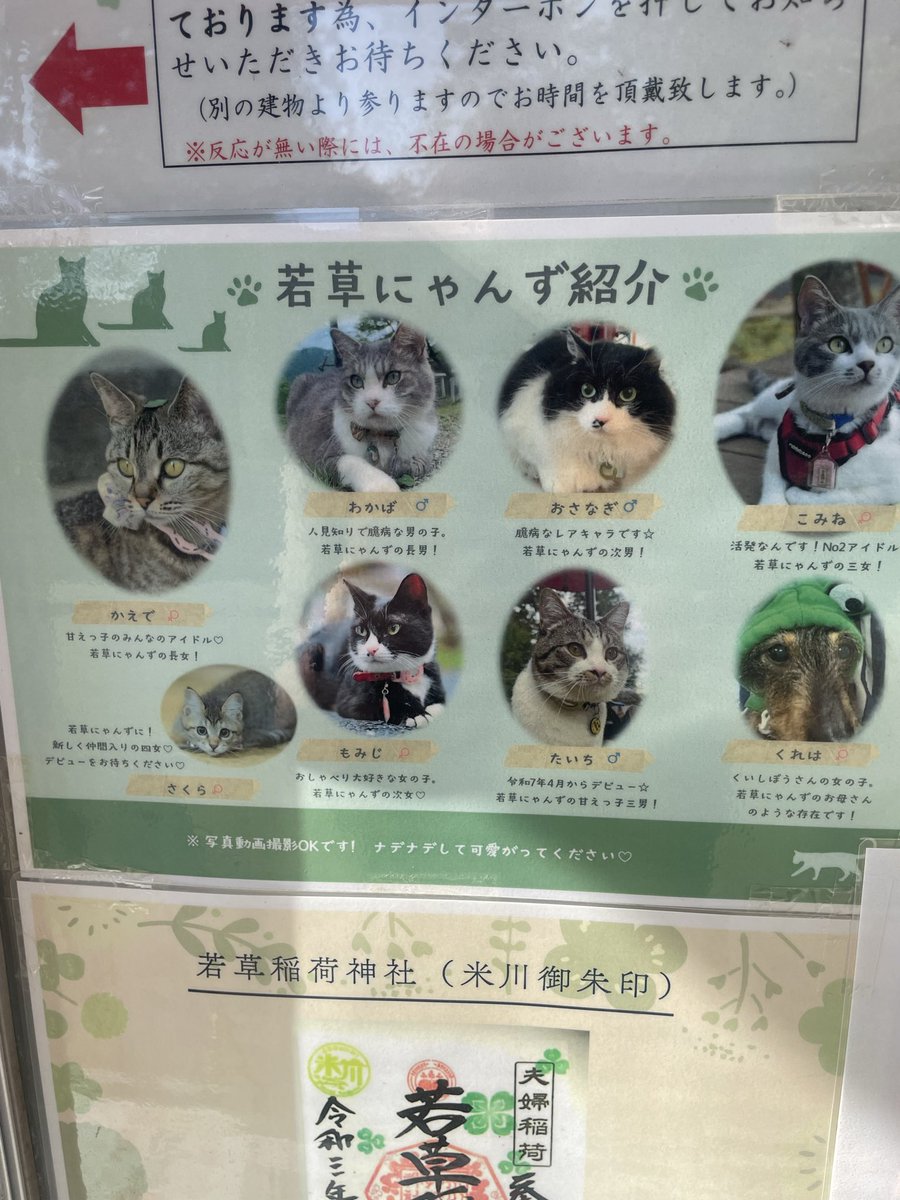 yunaezurikokf's tweet photo. 今日参拝した神社のご紹介⛩️…

「若草稲荷神社 ⛩️」（🐈と🛵の神社）

天延3年(975年)に御創建され、御祭神の宇迦之御魂大神は伊勢神宮外宮に祀られております豊受姫大神(豊受大神)や稚産霊神や保食神と同じ神とされています。(1813年)若草大明神に最高位である『正一位』の神階が与えられました。

ねこ🐈とバイク🛵の神社
8柱の現猫神様がお出迎えする神社。
今日の担当は「わかばさん」
丁寧にお迎えされて心地よい空間でした。

やっぱり神社は水や風や癒しが必要です。
神社の空間が神様ですね(*´˘`*) .𖥔 ݁ ˖

御朱印も頂いて来ました✨
‧˚₊*̥⸜(* ॑꒳ ॑* )⸝‧˚₊*̥
#若草神社　#宮城県登米市　#夏詣
