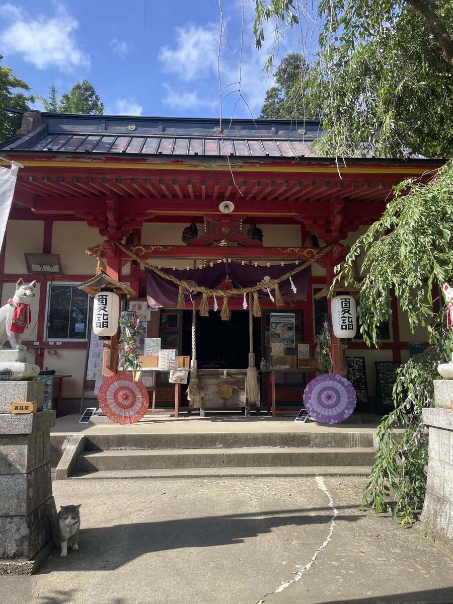 yunaezurikokf's tweet photo. 今日参拝した神社のご紹介⛩️…

「若草稲荷神社 ⛩️」（🐈と🛵の神社）

天延3年(975年)に御創建され、御祭神の宇迦之御魂大神は伊勢神宮外宮に祀られております豊受姫大神(豊受大神)や稚産霊神や保食神と同じ神とされています。(1813年)若草大明神に最高位である『正一位』の神階が与えられました。

ねこ🐈とバイク🛵の神社
8柱の現猫神様がお出迎えする神社。
今日の担当は「わかばさん」
丁寧にお迎えされて心地よい空間でした。

やっぱり神社は水や風や癒しが必要です。
神社の空間が神様ですね(*´˘`*) .𖥔 ݁ ˖

御朱印も頂いて来ました✨
‧˚₊*̥⸜(* ॑꒳ ॑* )⸝‧˚₊*̥
#若草神社　#宮城県登米市　#夏詣