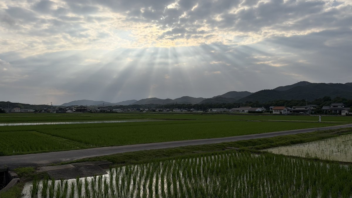 albertiana's tweet photo. 梅雨が明けたよー https://t.co/EXzXUtnw0U