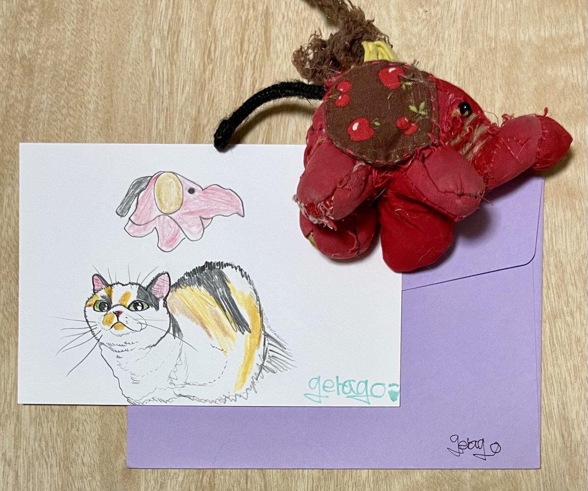 にゃんころもち (@sakura_nyancolo) / Posts / X