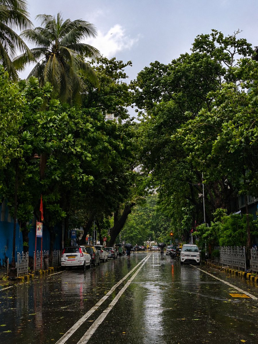 Karus123SB's tweet photo. Healing isn't always loud. Sometimes, it looks like a quiet road after the rain..💚

#क्लिकतरहा ❤️ #MumbaiRains 🩶 https://t.co/XuxuGgjtIT