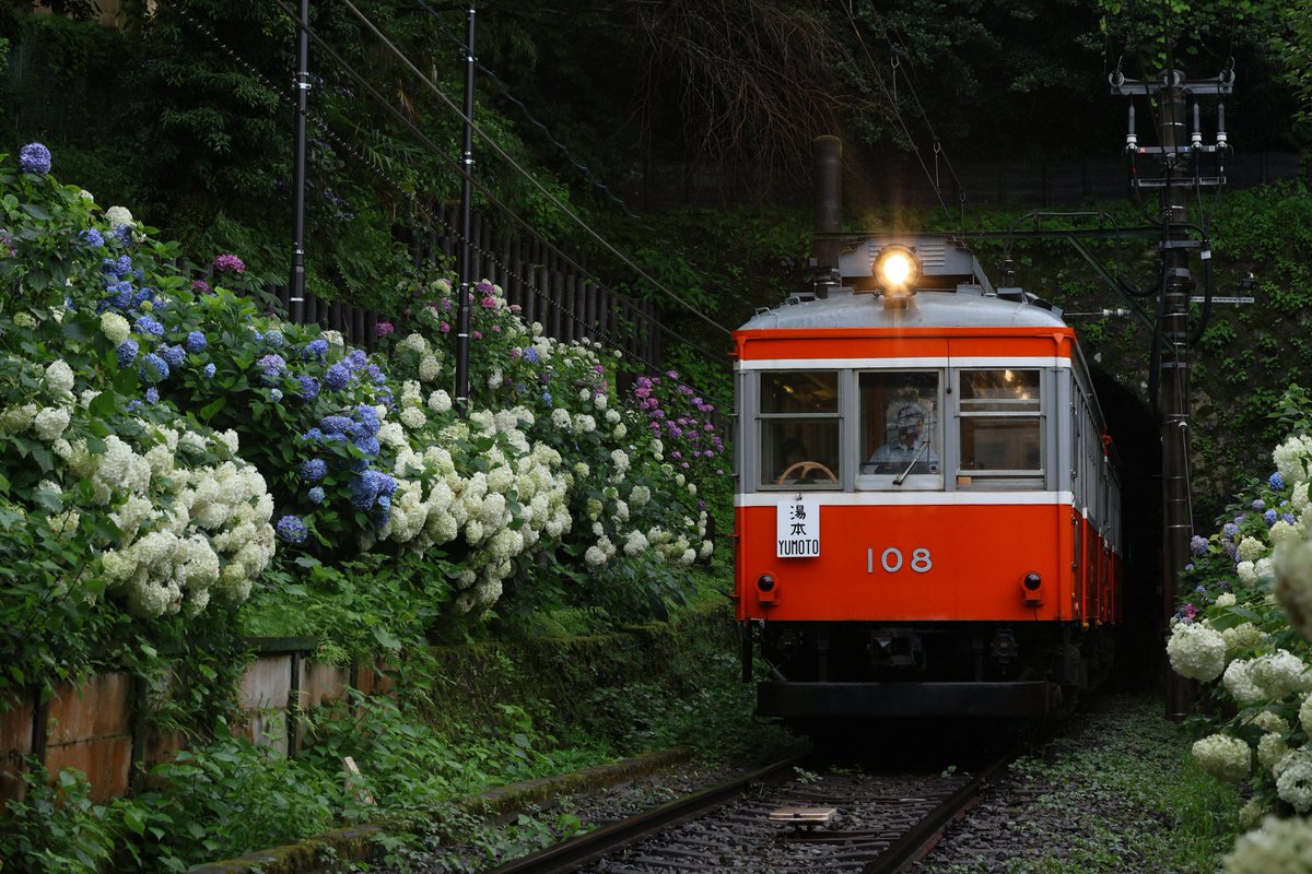 Seven_Siz's tweet photo. 箱根登山 紫陽花
前照灯の点灯率が終わっていて中々カットを稼げず…来年は点灯率上がってることを祈ってます。 https://t.co/Ap4aFwGOME