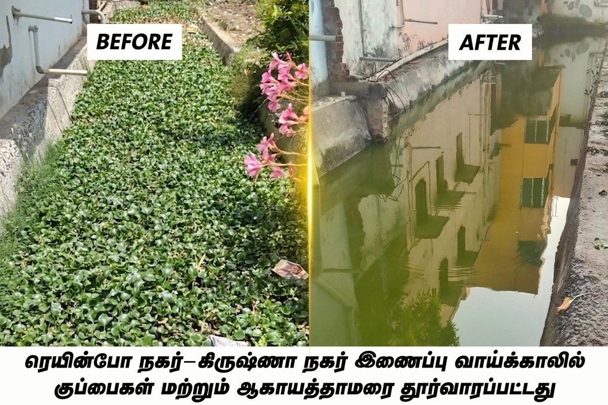 solallaseyal's tweet photo. லட்சிய ஜனநாயக கட்சியின் தலைவரும் காமராஜ் நகர் சட்டமன்ற உறுப்பினருமான திரு. ஜோஸ் சார்லஸ் மார்டின் அவர்களின் அறிவுறுத்தலின்படி, ரெயின்போ நகர் மற்றும் கிருஷ்ணா நகர் பகுதிகளை இணைக்கும் வாய்க்கால்களில் குப்பைகள் மற்றும் ஆகாயத்தாமரை அடைத்திருப்பதாக பொதுமக்கள் அளித்த புகாரின் பேரில், உடனடியாக சுத்தம் செய்து சரிசெய்யப்பட்டது.

#JoseCharlesMartinmla #KamarajNagar #PublicService #CleanPuducherry #PeopleFirst