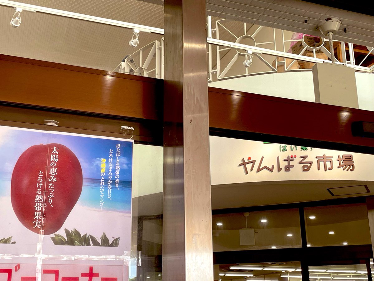 WmzSd's tweet photo. 今回は子どもの用事がメインの沖縄なので
子どもを送り届けたあとに
大切な方々への贈り物を選んできました🤤

この時期が旬なんだけど
わたしは台風時期は動かないので
この一択で訪問、台風で遅延する前に
発送してきまた🫡

はじめて空港以外で見れたかもしれない🤔 https://t.co/5wm7l1offd