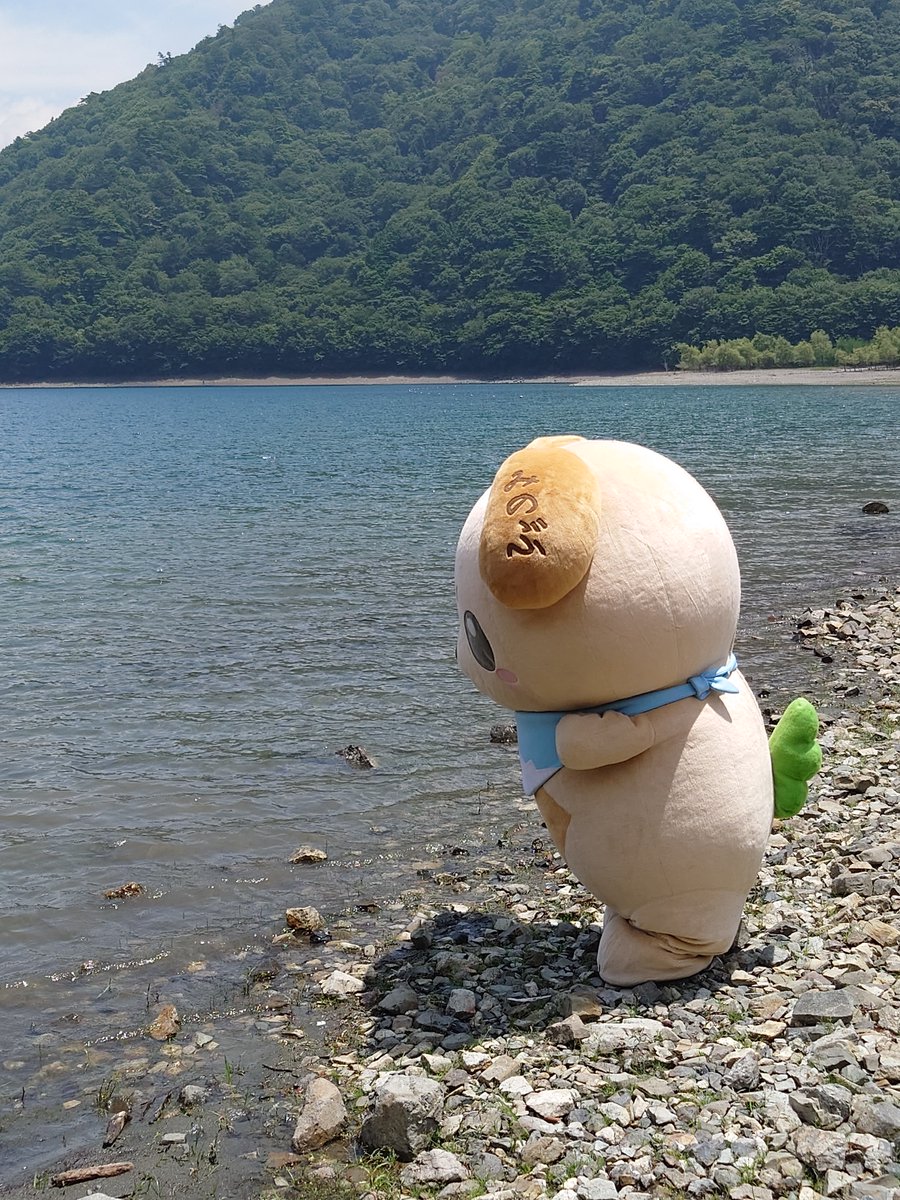 minowan_minobu's tweet photo. 今日は本栖湖でお仕事だったワン。日焼けが心配だワン…。 https://t.co/gmRerh7HlA