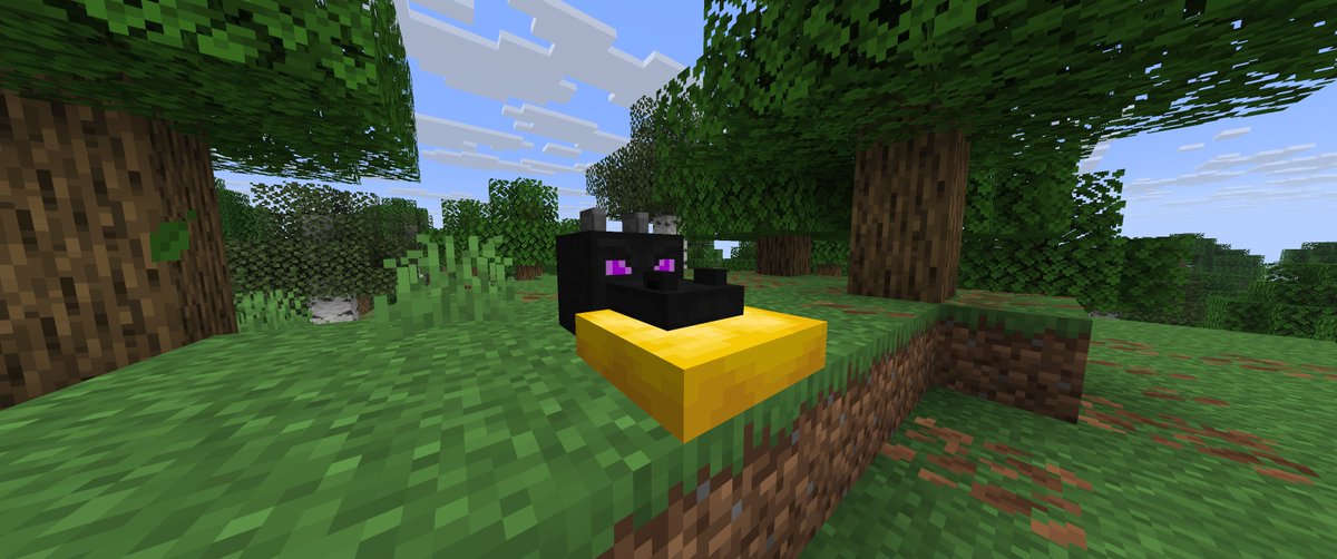 SethTooCraft tweet picture