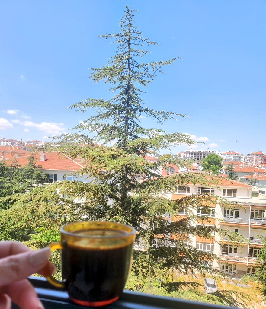 balancegc's tweet photo. Sonra o binayı da yıkacaklar yerine; gri, mat ve yaşanmışlığı olmayan bir yapı gelecek. 
Bu defa ona alışmaya çalışacağım..
Sonra sıra benim evime gelecek, bahçesinde dedemin diktiği elma ağacı olan. https://t.co/hKszR2n0LT