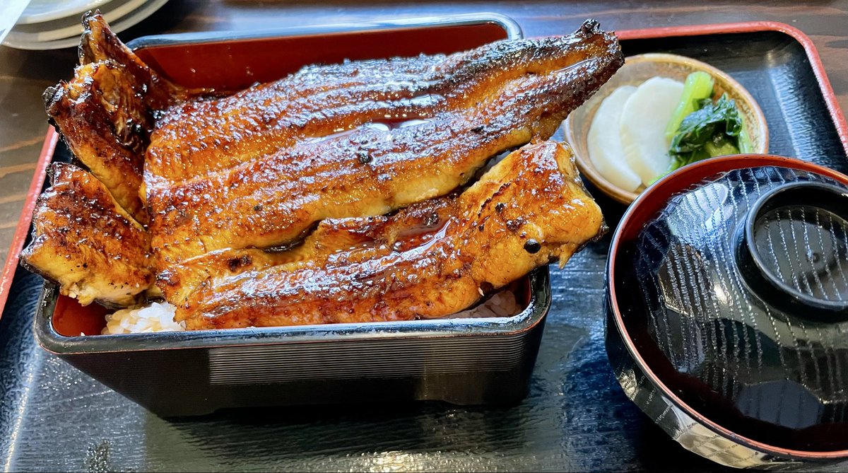 hidgepaso's tweet photo. ウナギはいいなあ、
ウナギだもの。 https://t.co/hAzZNKWvfa