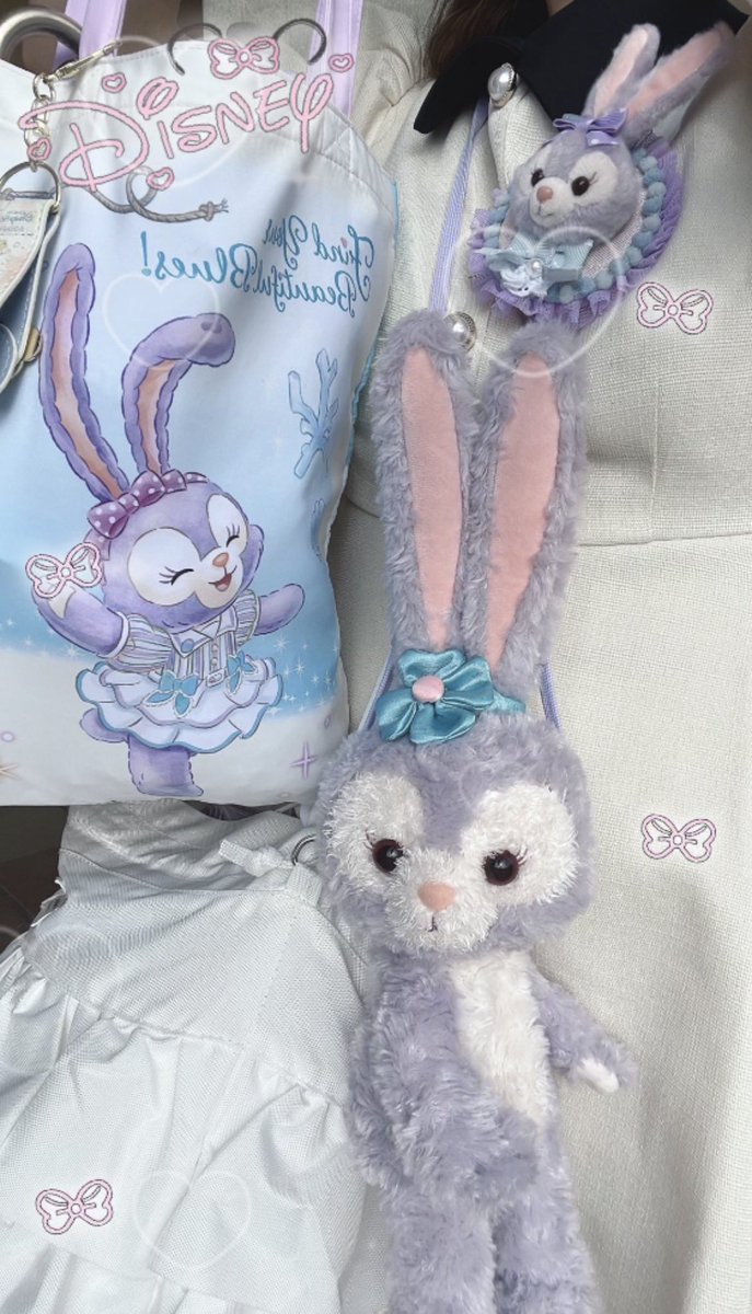 DZ_ymk's tweet photo. あうぱ〜
初の1人ディズニー楽しかった🐰🩰💜
3人のお姉様方もありがとうございました！ https://t.co/1KSKZF2oYC