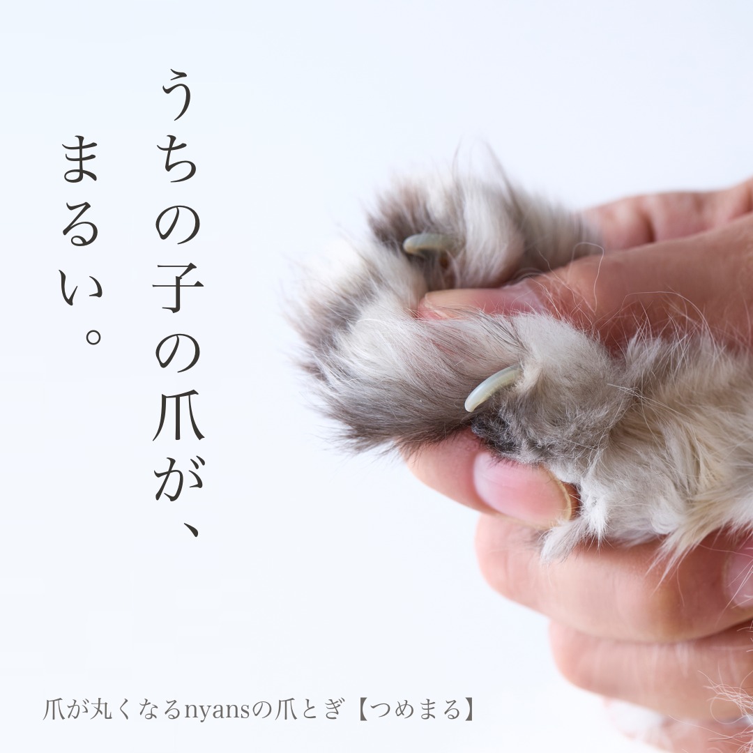 nyansinc's tweet photo. その爪切り続けますか？
猫にとってもストレスな爪切り、できるだけ減らしたいと思いませんか？

【つめまる】なら研ぐだけで爪が自然と丸くなる。
研ぎカスも出にくく、掃除も楽。

爪とぎの中に"やすり"搭載の新発想の爪とぎ。
シリーズ累計8万台突破、獣医師も推薦。