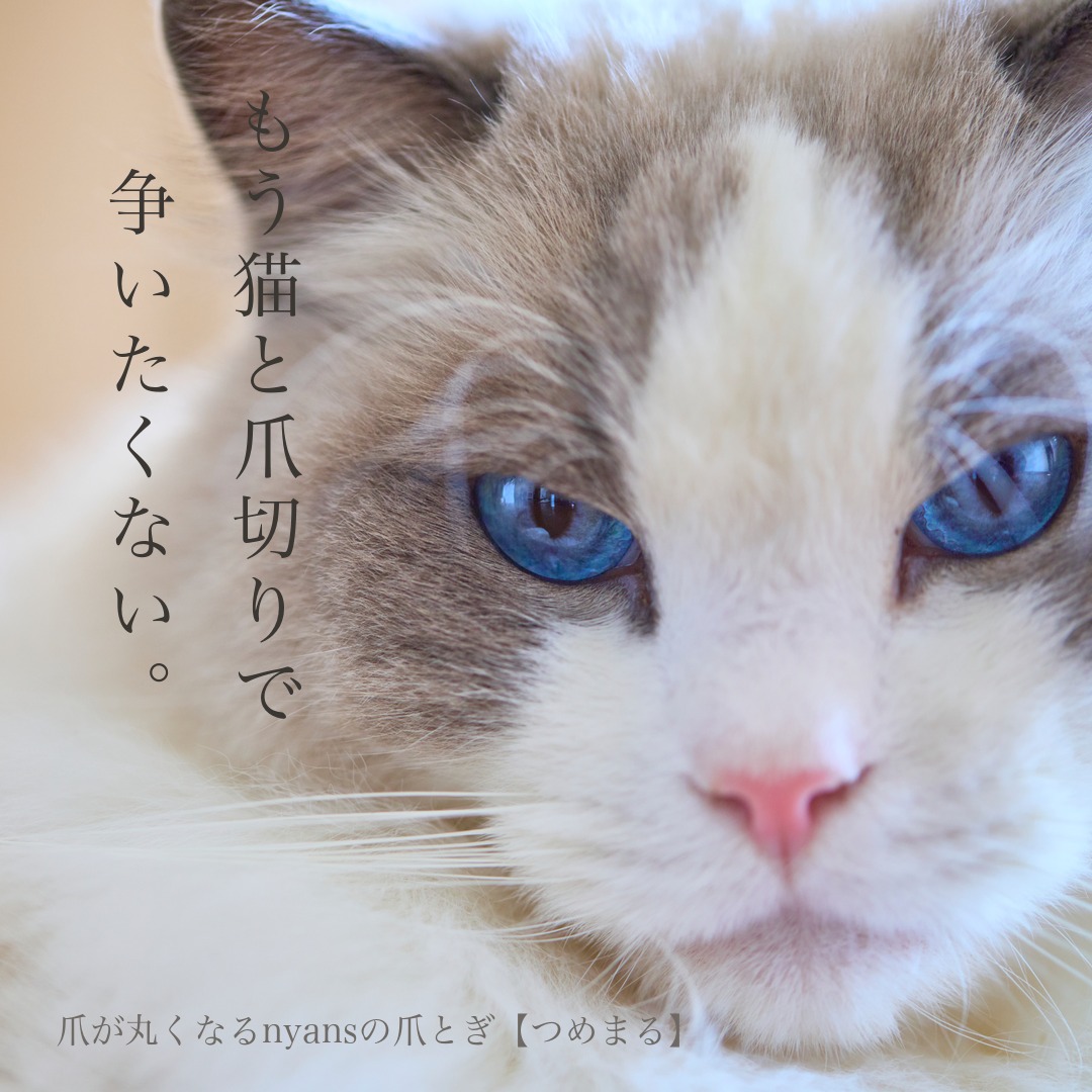 nyansinc's tweet photo. その爪切り続けますか？
猫にとってもストレスな爪切り、できるだけ減らしたいと思いませんか？

【つめまる】なら研ぐだけで爪が自然と丸くなる。
研ぎカスも出にくく、掃除も楽。

爪とぎの中に"やすり"搭載の新発想の爪とぎ。
シリーズ累計8万台突破、獣医師も推薦。