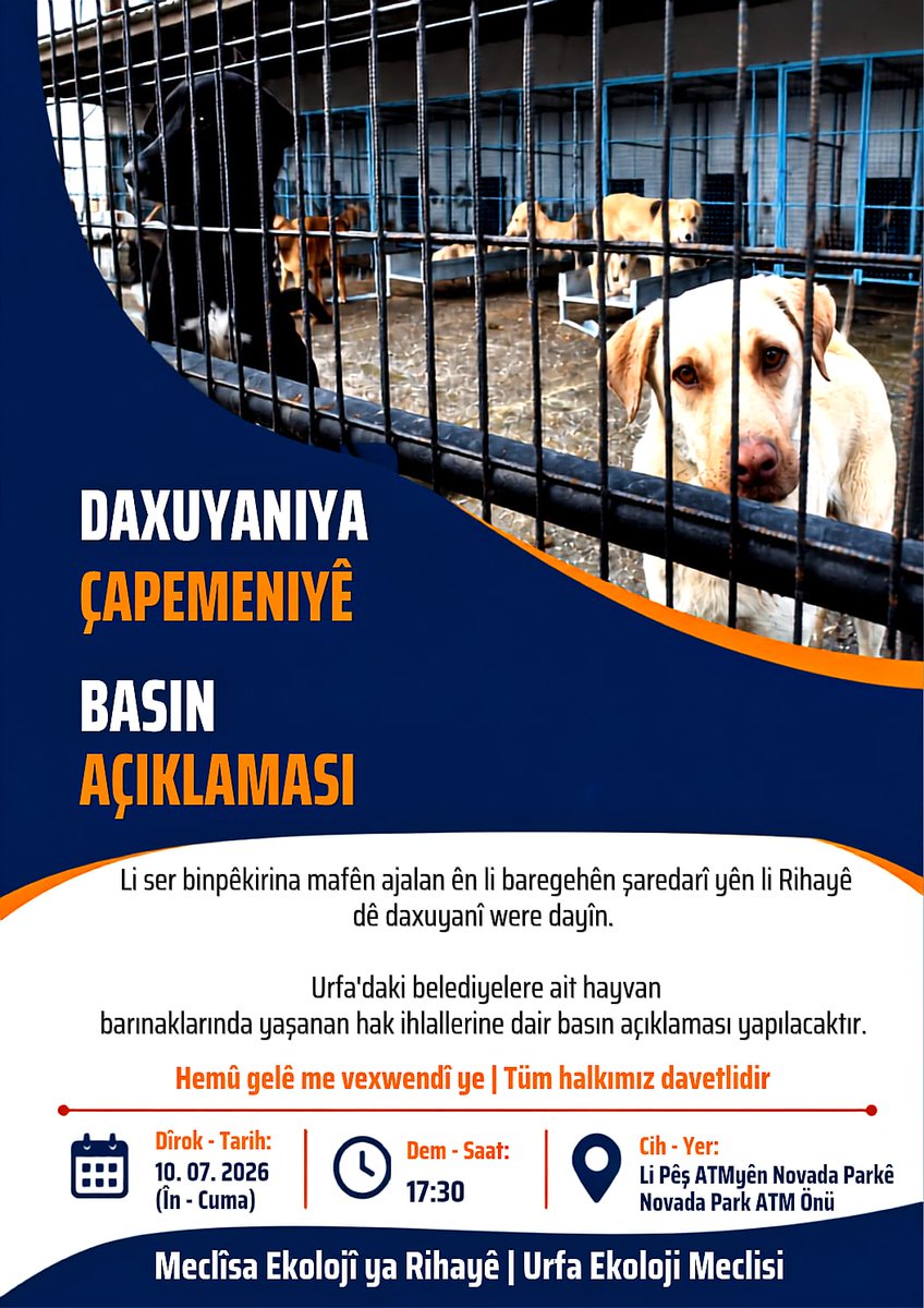 urfaekoloji's tweet photo. Bi lêkolînan hatiye tespîtkirin ku li baregehên şaredarî yên Rihayê mafên ajalan tên binpêkirin û di şertên xerab de dijîn. Loma em wekî Meclîsa Ekolojî ya Rihayê dê daxuyaniyekê bidin. Hemû gelê me vexwendî ye. 

Dîrok: 10. 07. 2026 (În)
Saet: 17.30
Cih: Pêş ATMyên Novada Parkê https://t.co/J5nEZ1AYwW