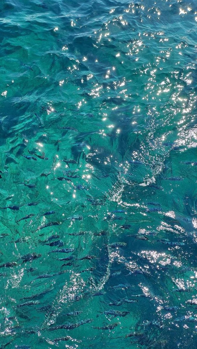 Daisyaurax's tweet photo. calmness of blue 🌊 https://t.co/icw4vQCjJx