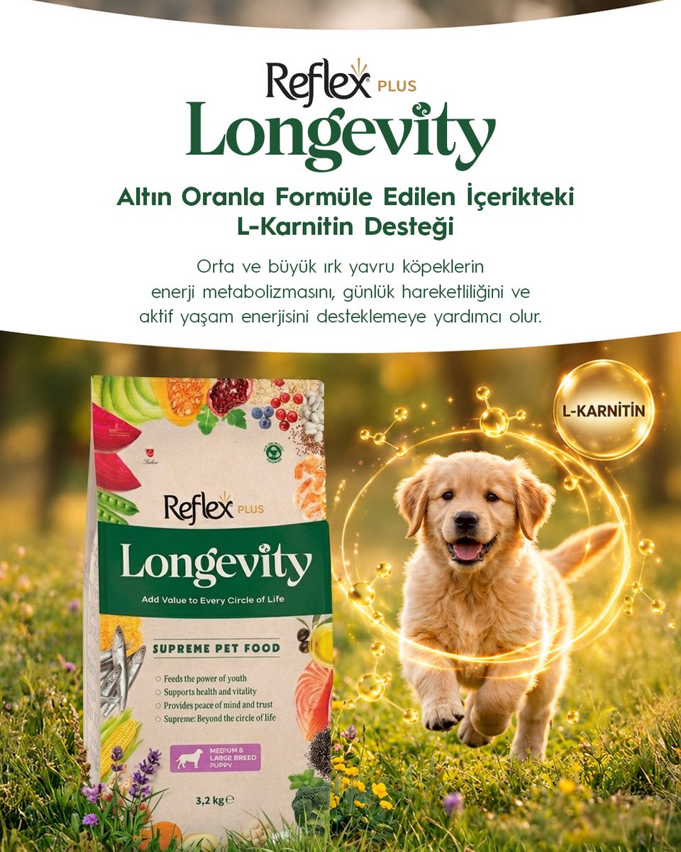 Reflex_Mama's tweet photo. Reflex Plus Longevity Medium &amp; Large Breed Puppy, içeriğindeki l-karnitin desteğiyle orta ve büyük ırk yavru köpeklerin enerji metabolizmasını, günlük hareketliliğini ve aktif yaşam enerjisini desteklemeye yardımcı olur. 

#ReflexPlus #Longevity #KöpekMaması #LKarnitin https://t.co/DbBpCQqUCG