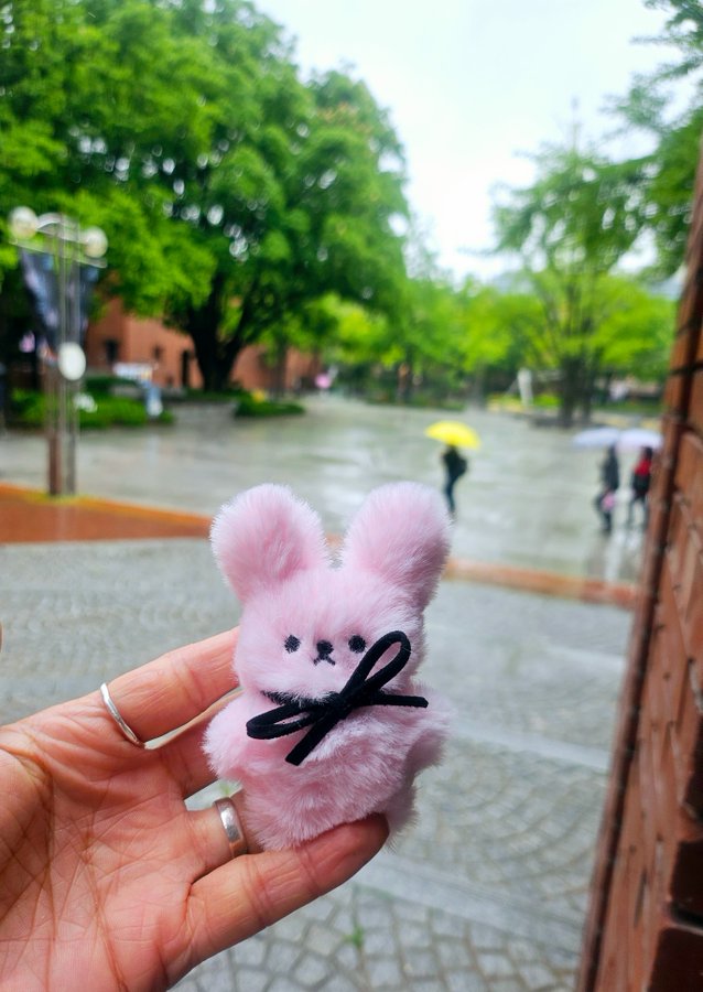 tulzzini's tweet photo. 팔로우+rt 이벤트🐰

장마철 출퇴근하기 짱나죠
출퇴근메이토끼가 함께 합니다
팔로우+알티 하시는 한분께 출퇴근메이토끼를~

당발 10일 저녁💕 https://t.co/fS4YvmI99a