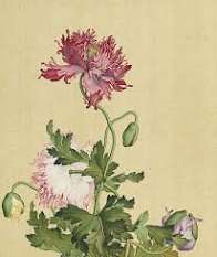 alone73x1's tweet photo. #EstateDAnimo
#VentagliDiParole
Il fioraio
è andato in città a vendere i fiori
e li ha venduti tutti.
Povero e solitario fioraio.
I fiori che curava sono andati via tutti.
Il fioraio https://t.co/moinuhOSHY