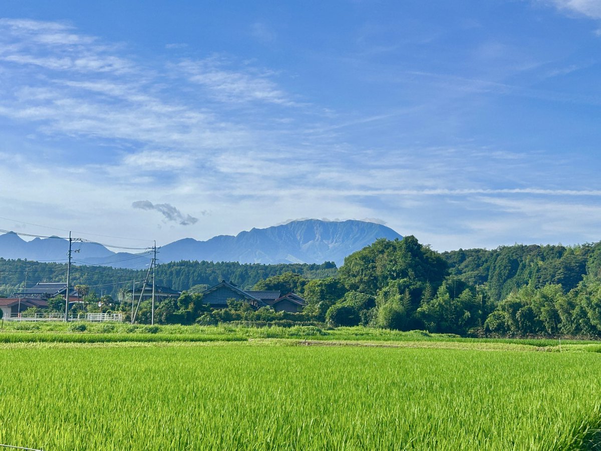 tomashibadaisen's tweet photo. 【速報】本日、中国地方が梅雨明けしたわん。今日はもう、あちこちから夏のにおいがするわん。 https://t.co/9gTfqZ5Lfj