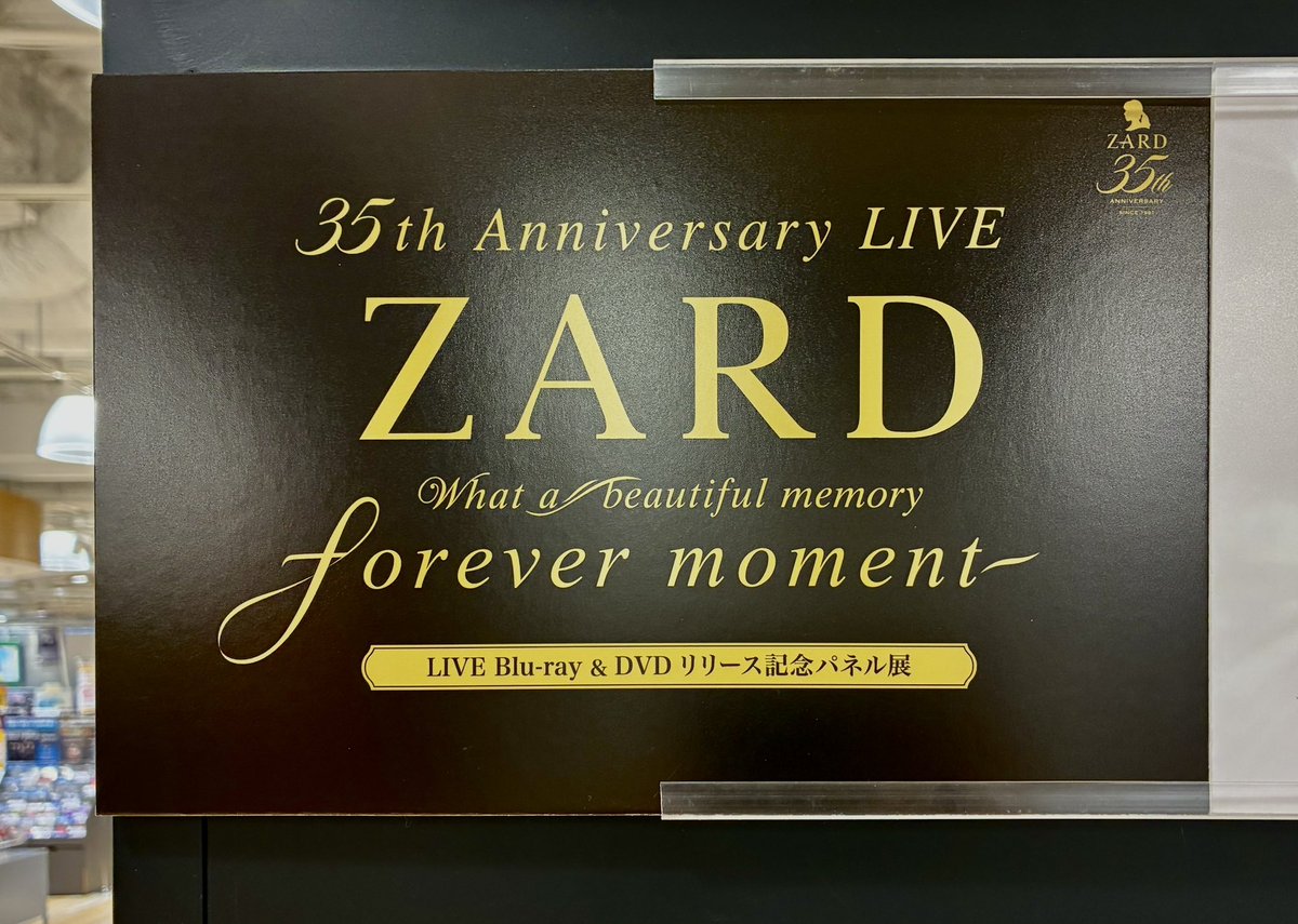 ZARD】 ⊹⋯