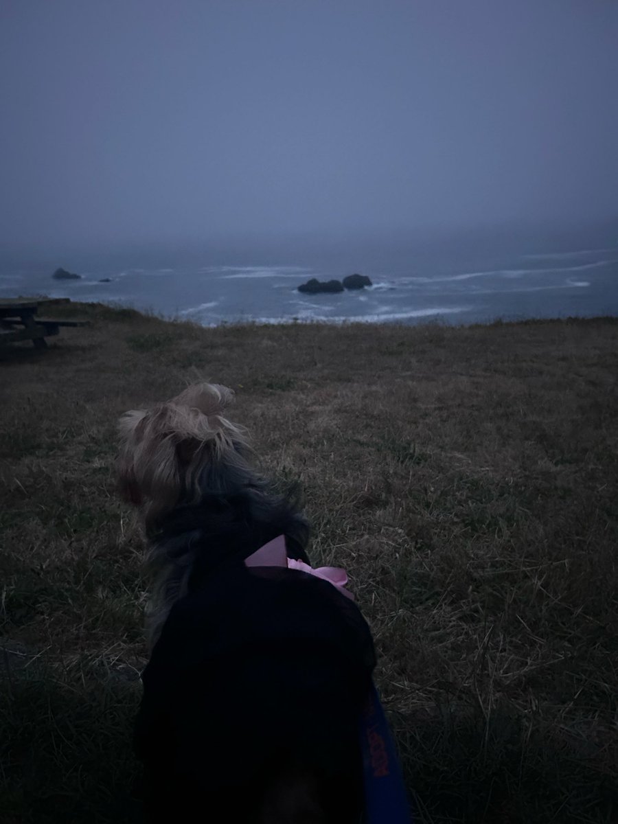 just_jasmineee's tweet photo. My child is really just like me. Just want to sit at the ocean for hours. https://t.co/utn9kn9HeX