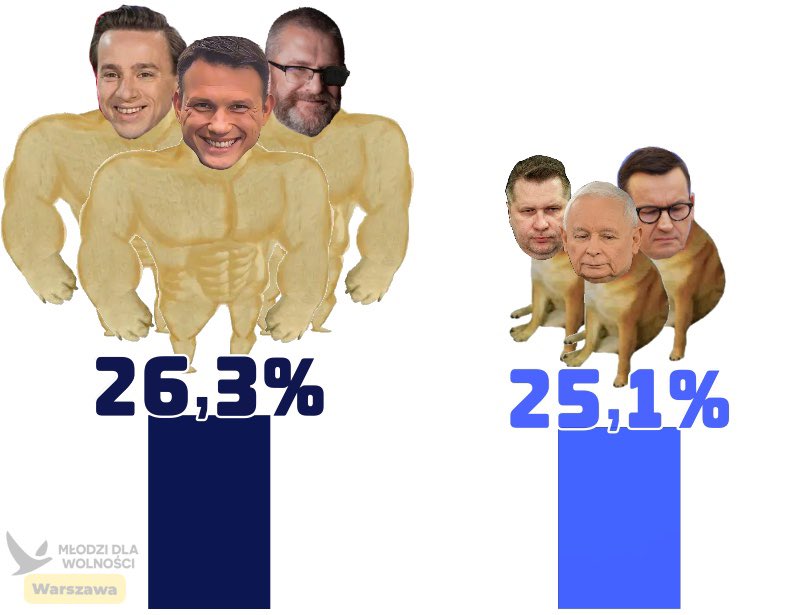 Młodzi dla Wolności Warszawa tweet media