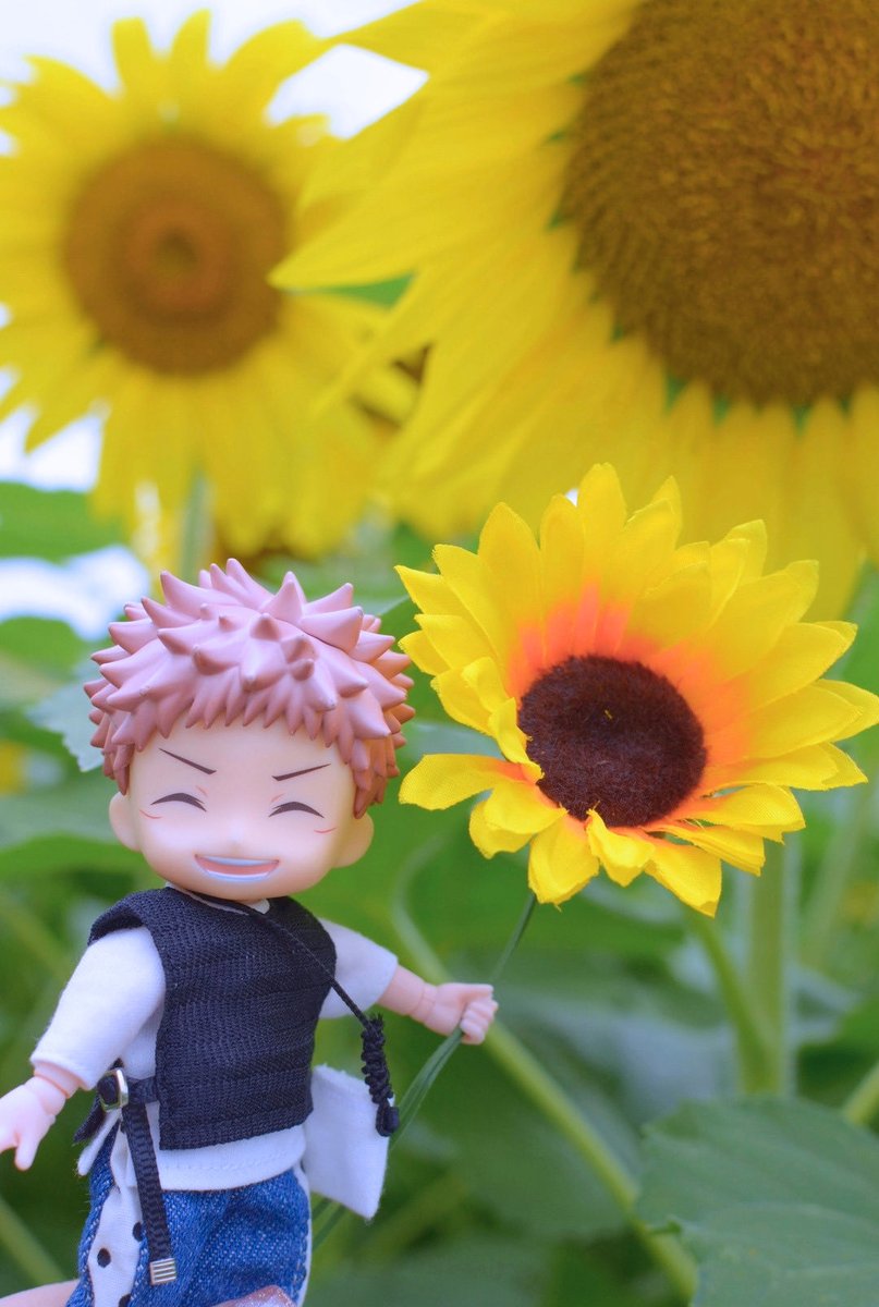 hiro_r0o's tweet photo. 元気いっぱいな向日葵たち🌻

お天気が良ければ3枚目の写真は上手く反射したんだけど…リベンジするぞ✊🏻
2年ぶりのひまわり畑に行けて、脹相と悠仁も楽しそうで良かった🥰 https://t.co/8JWEreK69S