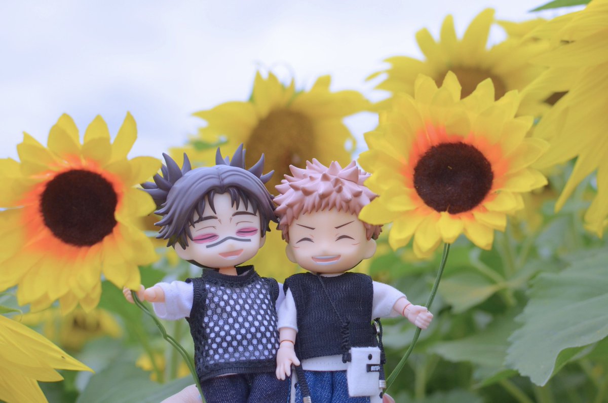 hiro_r0o's tweet photo. 元気いっぱいな向日葵たち🌻

お天気が良ければ3枚目の写真は上手く反射したんだけど…リベンジするぞ✊🏻
2年ぶりのひまわり畑に行けて、脹相と悠仁も楽しそうで良かった🥰 https://t.co/8JWEreK69S