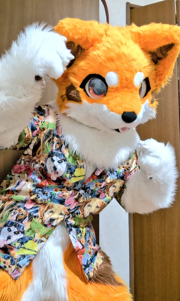 furMinaga's tweet photo. 最高のシャツ🐶🐶🐶🐶🐶🐶を入手したので見せびらかしたいきつねいぬ https://t.co/Xg1hzsdYpu