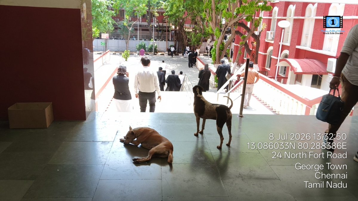 BalambalMurali's tweet photo. Dogs, dogs, dogs; from the Hon'ble High Court campus to the High Court Metro Station.

@chennaicorp, kindly remove the stray dogs from these public spaces in accordance with the directions of the Hon'ble Supreme Court in Suo Motu W.P. (C) No. 5/2025 and take appropriate measures, including sheltering or, where legally permissible and warranted, euthanasia in accordance with applicable law.

The first video is from the Hon'ble High Court campus, and the second was recorded today at the High Court Metro Station.

Public safety cannot be compromised.

@sameerangs @arunraajkg @cmotamilnadu @TVKVijayHQ @TVKHQITWingOffl @redpixnews @FelixGerald_TVK