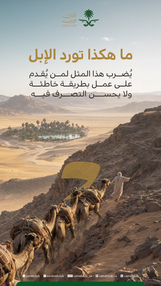 نادي الإبل tweet media