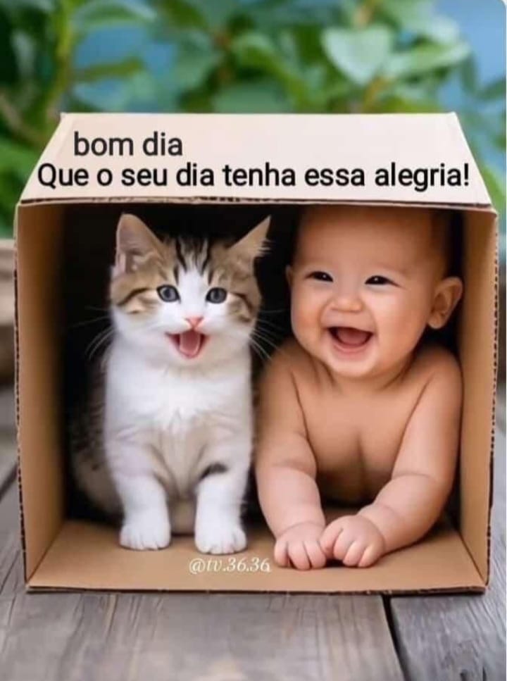 MariaHe08790463's tweet photo. Bom dia, amigos amados, abençoada quarta-feira,🙏🏼🇧🇷 https://t.co/rciUcdtnGh