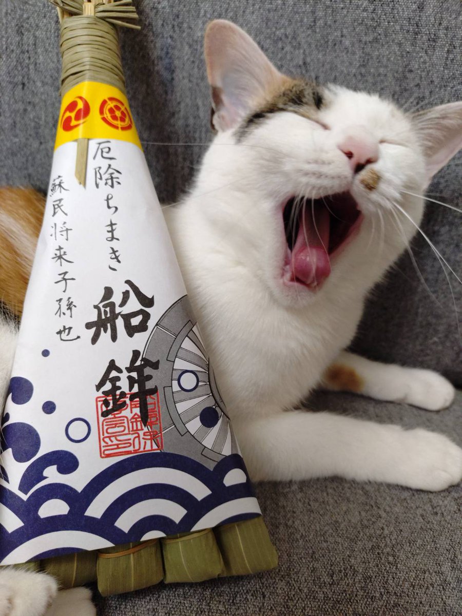船鉾(京都 祇園祭) tweet media