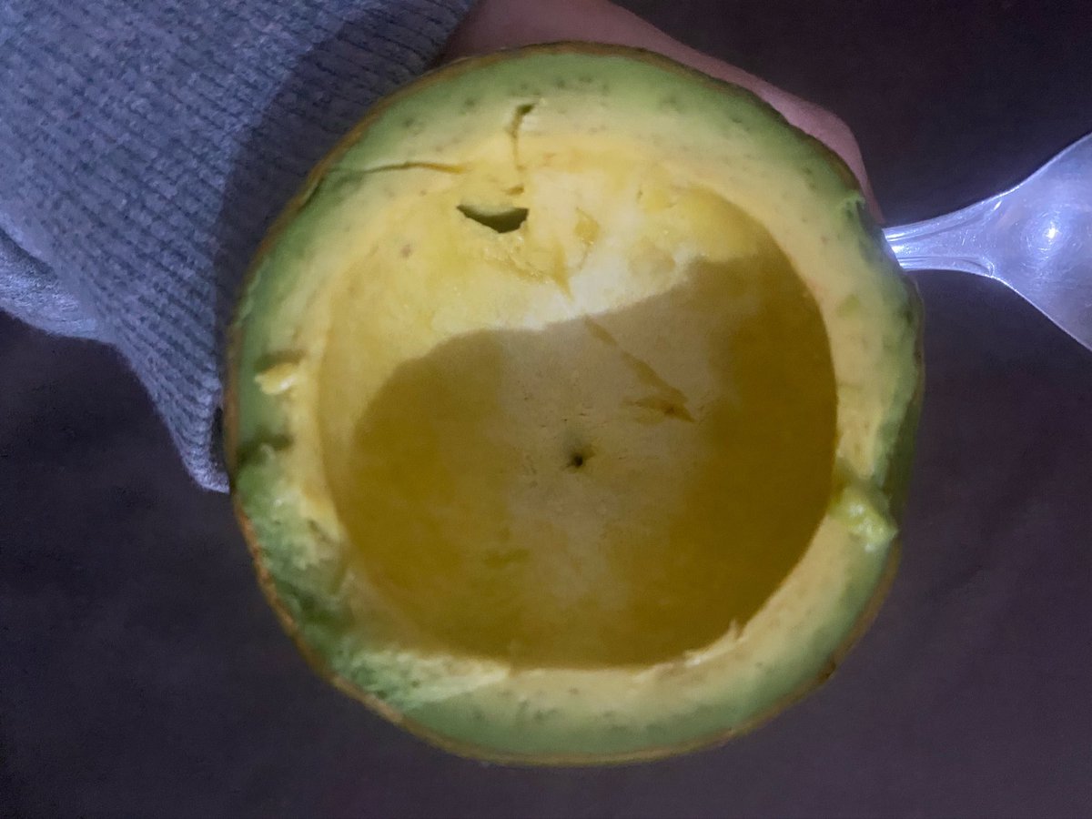 panahcea's tweet photo. @sorskens Oh jadi ini jus? Bukannya manis ya kalo jus, apa alpukat kamu yg jelek. Aku biasanya langsung sendok aja makan dari kulitnya. https://t.co/CggddPupNS